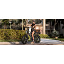 Fat Bike Electrique Tout Suspendu Rover 008