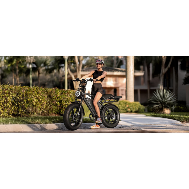 Fat Bike Electrique Tout Suspendu Rover 008