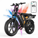 Fat Bike Electrique Tout Suspendu Rover 008